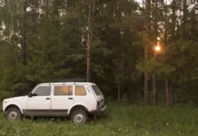 kurganskaya oblast usilit ohranu lesov do 23 iyunya-pux-su-0