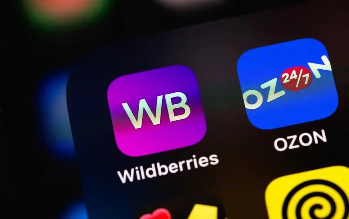 НИУ ВШЭ: Wildberries и другие платформы достигнут 8,5% ВВП в 2025 году-0