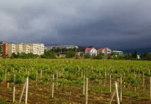 gidrometczentr rossii rasskazal o lete poradovavshem moskvu i krym-pux-su-0