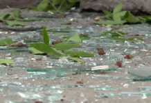 Сочи и Петербург под ударом БПЛА: обломки повредили автобус sochi i peterburg pod udarom bpla oblomki povredili avtobus-pux-su-0