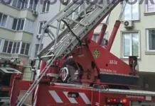 spasateli mchs rossii uspeshno spasli zhitelej v zvenigorode pri pozhare-pux-su-0