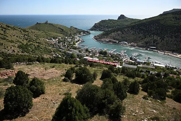 Вводная картинка