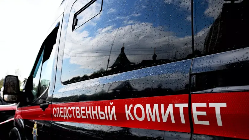 В Химках завели дело после обнаружения в аэропорту тел новорождённого и его мамы