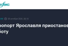 Аэропорт Ярославля временно прекратил полёты aeroport yaroslavlya vremenno prekratil polyoty-journalrf-ru-0