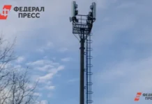 ЦУР Ульяновской области прокомментировал ситуацию с интернетом по словам Олега Ягфарова czur ulyanovskoj oblasti prokommentiroval situacziyu s internetom po slovam olega yagfarova-journalrf-ru-0