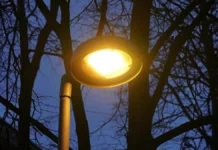 den chaya i prazdnichnye tradiczii 15 dekabrya v mire-journalrf-ru-0