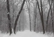 День ориентирования и Рогейн в Кузьминках-Люблино den orientirovaniya i rogejn v kuzminkahlyublino-journalrf-ru-0