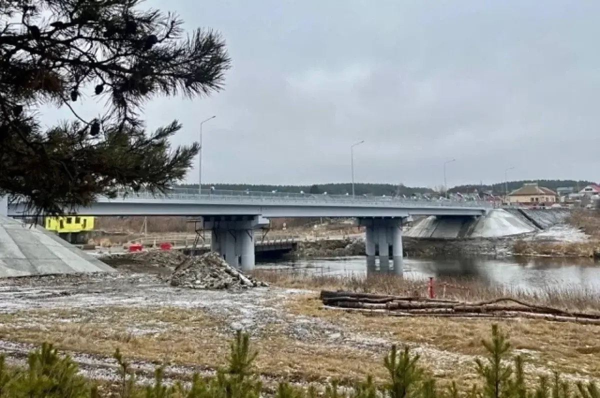 Денис Паслер открыл новый мост через реку Исеть в Сысерти-0