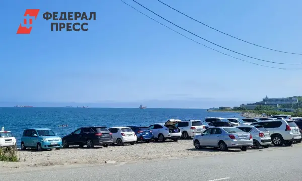 Дмитрий Алексеев обсудил планы по парковке и благоустройству Патрокле-0