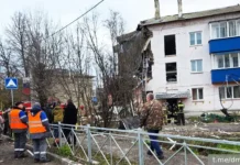 Дмитрий Миляев заявил, что ситуация в Куркино находится под контролем dmitrij milyaev zayavil chto situacziya v kurkino nahoditsya pod kontrolem-journalrf-ru-0