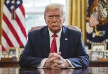 donald tramp prizyvaet zelenskogo ustupit stavya nato pod vopros-journalrf-ru-0