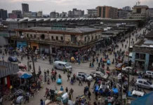 Евгений Терехин отмечает, что Россия и Африка открывают новые горизонты evgenij terehin otmechaet chto rossiya i afrika otkryvayut novye gorizonty-journalrf-ru-0