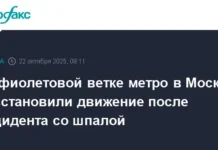 Фиолетовая ветка метро Москвы вернулась к штатной работе fioletovaya vetka metro moskvy vernulas k shtatnoj rabote-journalrf-ru-0