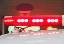 ГАИ Приморья эффективно пресекла 1200+ нарушений gai primorya effektivno presekla 1200 narushenij-journalrf-ru-0