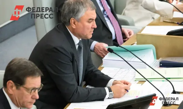 Госдума рассматривает бюджет и дефицит в контексте «Защитников Отечества»-0