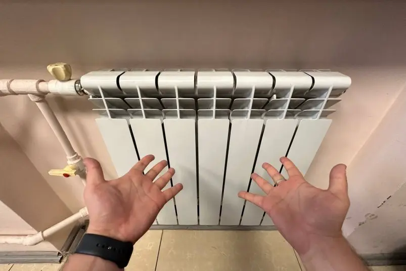 Фото: primamedia.ru