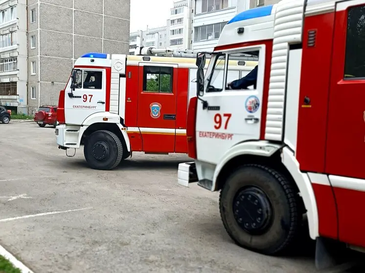 За сутки в Курганской области были ликвидированы десять пожаров