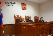 ГУ МВД по Петербургу и Ленобласти раскрыли схему телефонных мошенников из Кургана gu mvd po peterburgu i lenoblasti raskryli shemu telefonnyh moshennikov iz kurgana-journalrf-ru-0