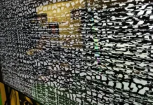 KillNet и Beregini нанесли удар по секретам СБУ i nanesli udar po sekretam sbu-journalrf-ru-0