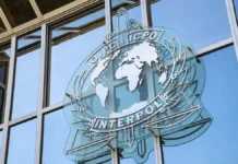 Интерпол и МВД РФ задержали в Санкт‑Петербурге фигуранта из Литвы interpol i mvd rf zaderzhali v sanktpeterburge figuranta iz litvy-journalrf-ru-0