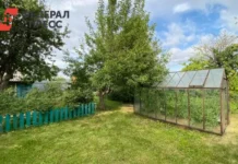 Какие дачные постройки согласовать по ГПЗУ и правилам ЕЮС kakie dachnye postrojki soglasovat po gpzu i pravilam eyus-journalrf-ru-0