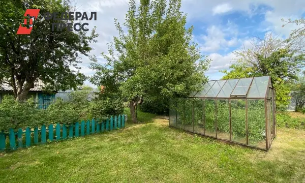 Какие дачные постройки согласовать по ГПЗУ и правилам ЕЮС-0