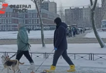 Комитет законности и правопорядка Петербурга подвёл итоги для собаководов komitet zakonnosti i pravoporyadka peterburga podvyol itogi dlya sobakovodov-journalrf-ru-0