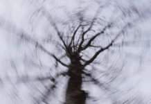 lizaalert prodolzhaet poisk semi usolczevyh v krasnoyarske-journalrf-ru-0