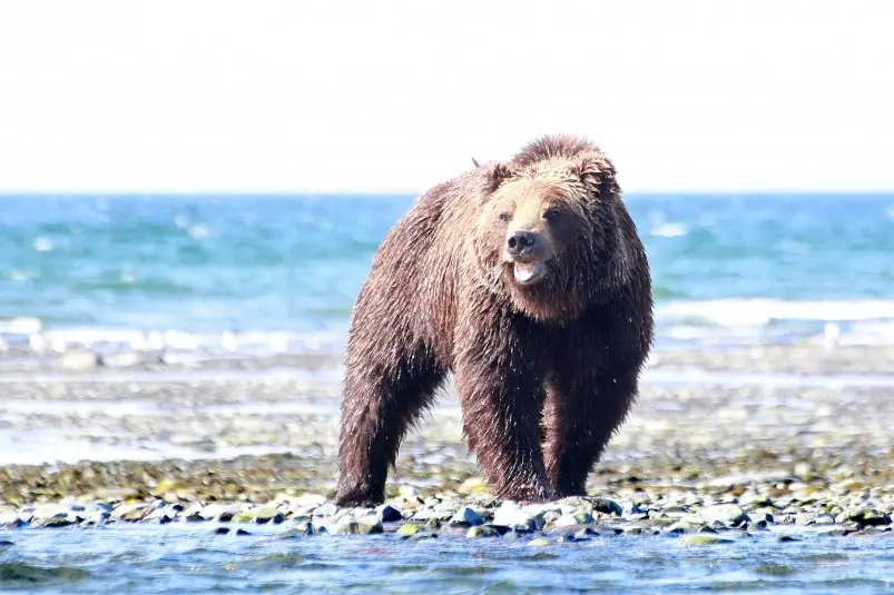 Фото: primamedia.ru