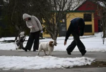 moskva ozhidaet pervye snezhinki s prognozom na blizhajshie dni-journalrf-ru-0