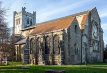 mumiya kota iz abbatstva uoltem i korol garold godvinson-journalrf-ru-0