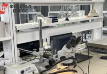 ННГУ представил новый подход к оценке рисков при диабете с помощью ИИ nngu predstavil novyj podhod k oczenke riskov pri diabete s pomoshhyu ii-journalrf-ru-0