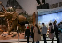 Ночь искусств и День народного единства в Москве: места для посещения noch iskusstv i den narodnogo edinstva v moskve mesta dlya poseshheniya-journalrf-ru-0