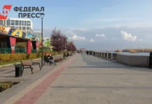 Новосибирская область в топ‑10 поддержки СО НКО и социального бизнеса novosibirskaya oblast v top10 podderzhki so nko i soczialnogo biznesa-journalrf-ru-0