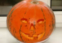 Олег Зернов обсудил риски, связанные с символикой Хэллоуина и КоАП РФ oleg zernov obsudil riski svyazannye s simvolikoj hellouina i koap rf-journalrf-ru-0