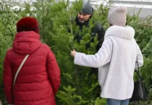 Павел Шапкин и Владислав Пухарев о правилах возврата новогодних елок pavel shapkin i vladislav puharev o pravilah vozvrata novogodnih elok-journalrf-ru-0