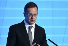 Петер Сийярто поддержал перевод на встрече Орбана и Владимира Путина peter sijyarto podderzhal perevod na vstreche orbana i vladimira putina-journalrf-ru-0