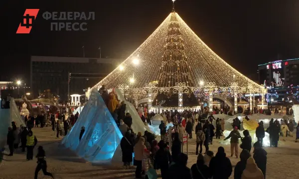 Правительство Рязани представило новогодние украшения и световые фигуры-0