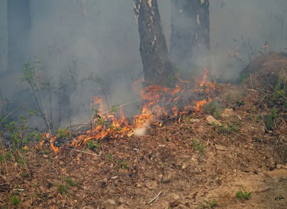 Фото: primamedia.ru