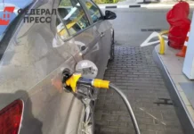 primore otmechaet peredyshku poka azs gotovyatsya k novym trendam-journalrf-ru-0