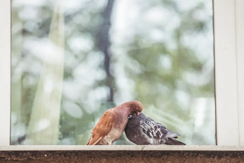 Фото: primamedia.ru