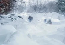 Прогнозы на выходные для Карелии и Москвы от Гидрометцентра России prognozy na vyhodnye dlya karelii i moskvy ot gidrometczentra rossii-journalrf-ru-0