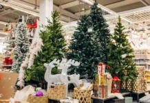 Ранний старт продаж приносит выгоду Ахтама Юнусова и Анны Асадовой rannij start prodazh prinosit vygodu ahtama yunusova i anny asadovoj-journalrf-ru-0