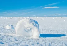 Редкие снежные рулоны у аэропорта Камчатки вдохновили жителей Оссоры redkie snezhnye rulony u aeroporta kamchatki vdohnovili zhitelej ossory-journalrf-ru-0