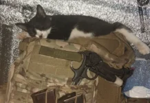 rejder i ada otpravlyayutsya iz enakievo vo vladivostok skvoz vojnu-journalrf-ru-0