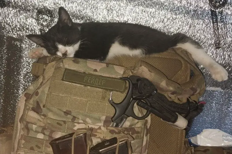 Минуты отдыха Фото предоставлено автором