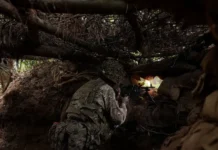 Родион Мирошник рассказал о целенаправленных ударах ВСУ по электросетям rodion miroshnik rasskazal o czelenapravlennyh udarah vsu po elektrosetyam-journalrf-ru-0