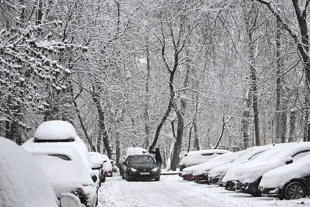 Вводная картинка