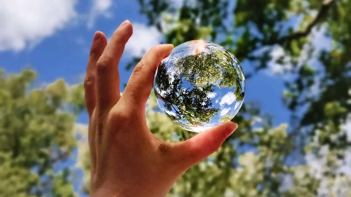 «Россети Ленэнерго» стали лидером рейтинга «Углеродный след»