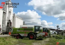 sasovskaya mezhrajonnaya prokuratura pomogla agrariyam-journalrf-ru-0